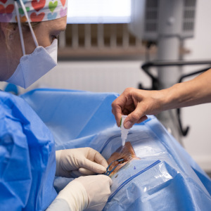 Intravitreale Injektionen